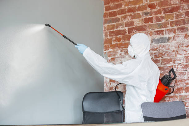 Best Air Quality Testing for Mold Spores  in Aransas Pass, TX